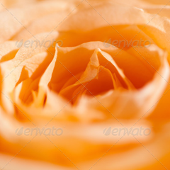 DDOS压力测试网页端