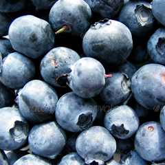 智能提示贴心的ddos工具下载